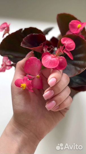 Наращивание ногтей. Маникюр