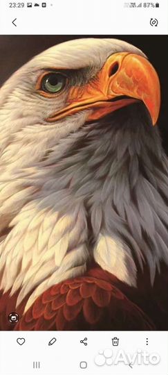 Алмазная мозаика Птицы, 20/30