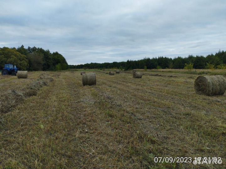 Продам сено в рулонах