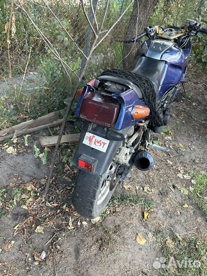 Yamaha250