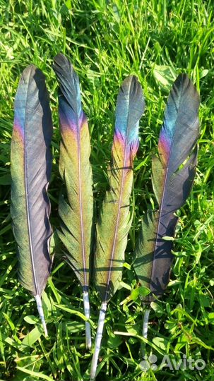 Перья для творчества, украшений