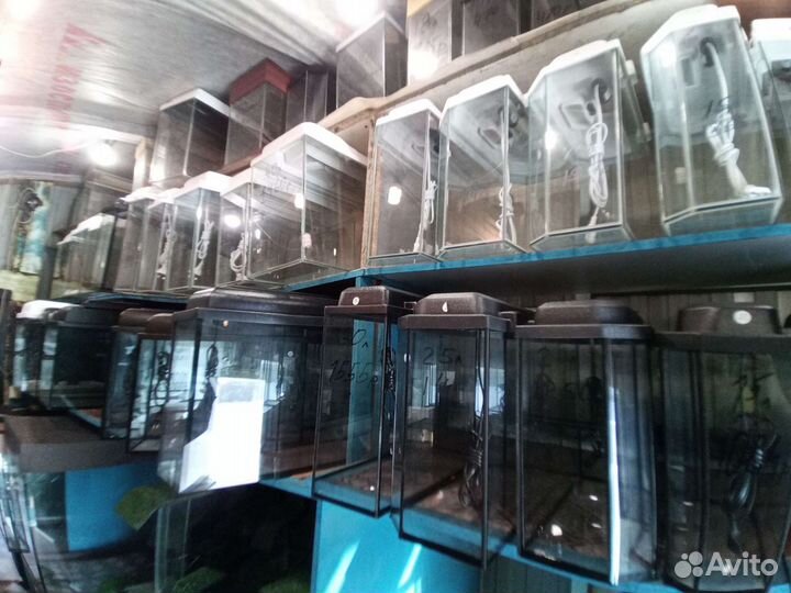 Аквариумы на заказ