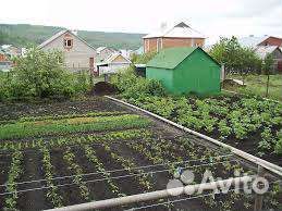 Чернозем,высокоплодородный грунт