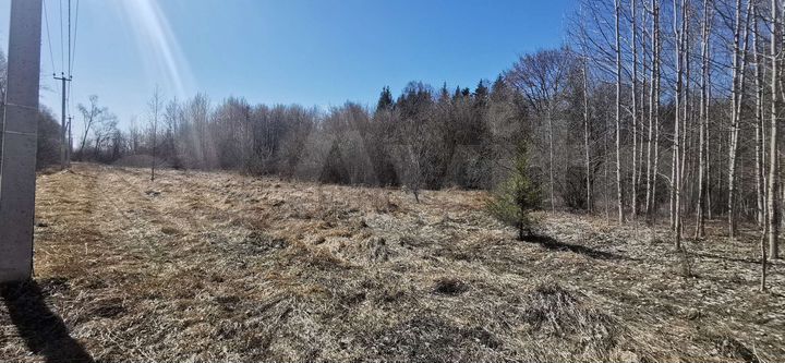 Участок 10 сот. (ИЖС)