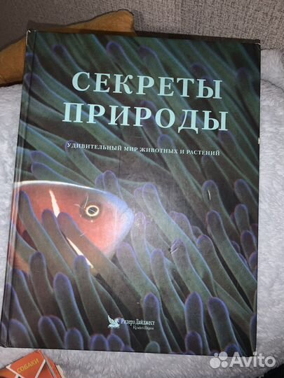 Энциклопедия