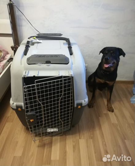 Переноска skudo 6