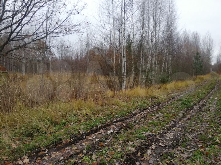 Участок 15 сот. (СНТ, ДНП)