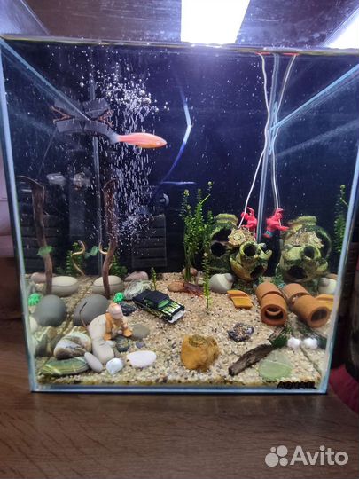 Аквариум Aquael 30