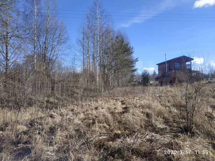 Участок 22,9 сот. (СНТ, ДНП)