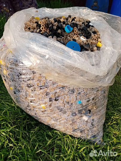 Биозогрука