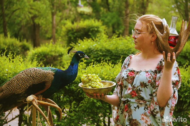 Фотосессия