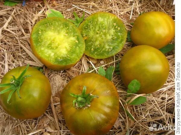 Семена томатов