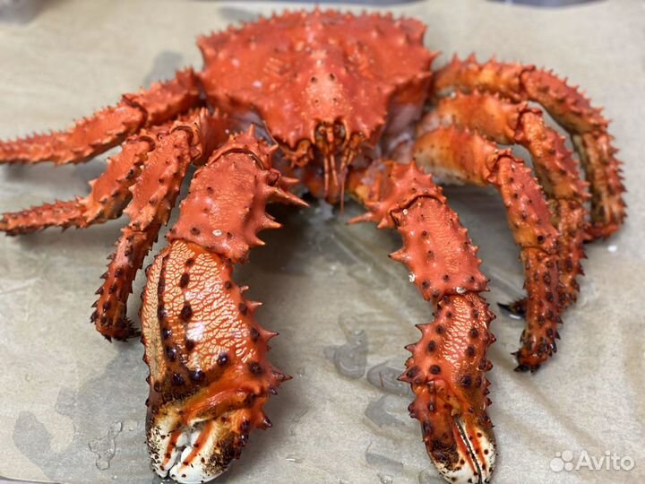 Раки Крабы Устрицы опт и розница