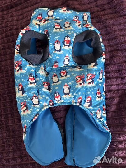 Комбинезон для маленькой собаки
