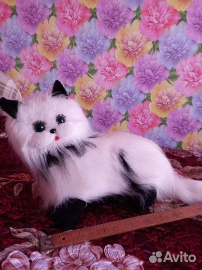 Кошка