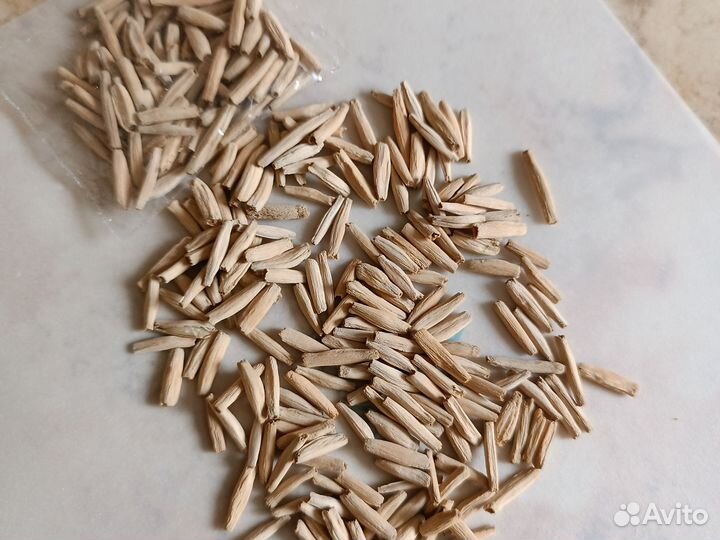 Семена адениума обессум