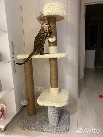 Изготовление когтеточек и домиков для животных