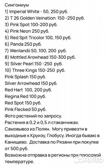Сингониум разные сорта