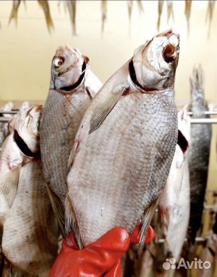 Вяленый лещ