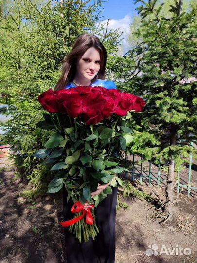 Высокие розы в Омске