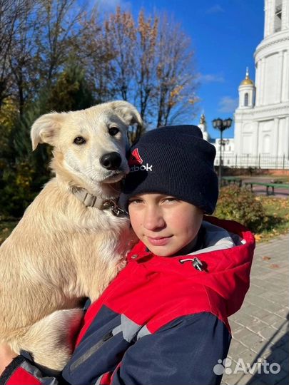 Малышка Сима 6 месяцев