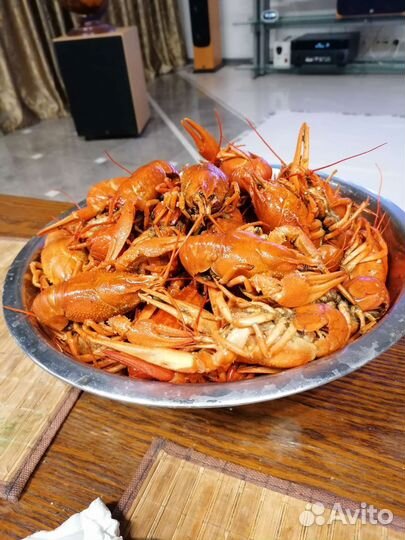 Живые и Варёные раки