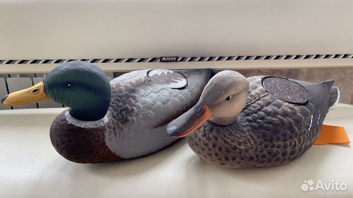 Чучело утки с элетроманком