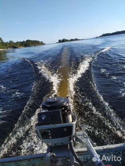 Evinrude 2тактный