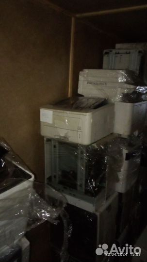 Принтер Xerox phaser 3250