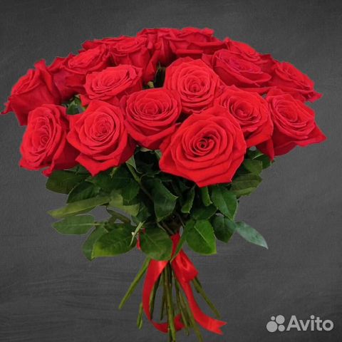 Крупные Розы Эквадор. Цветы с Доставкой