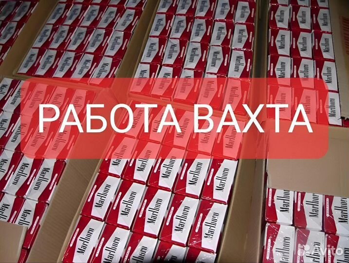 Вахта Упаковщик сигарет Parliament питание\жилье