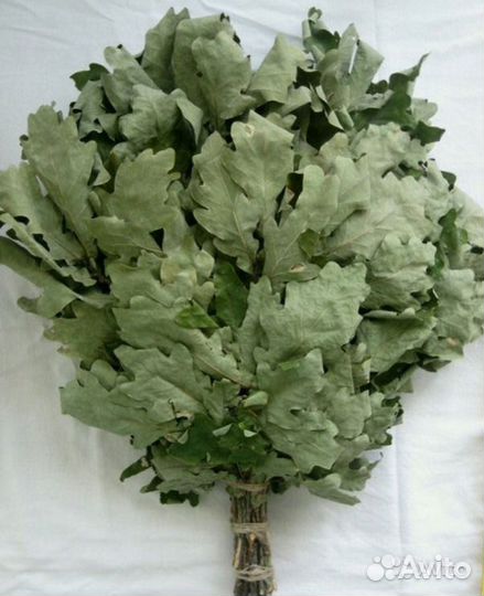 Продаю дубовые веники для бани