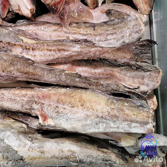 Свежемороженая рыба