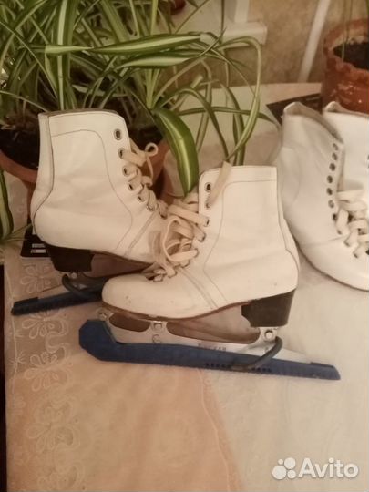 Коньки и новые кожаные ботинки