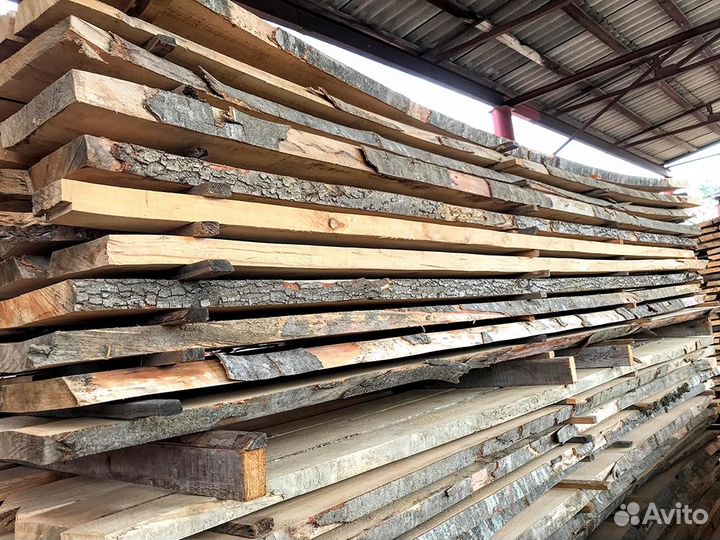 Доска бука необрезная