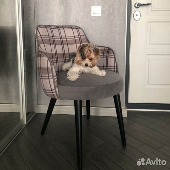 Стул обеденный