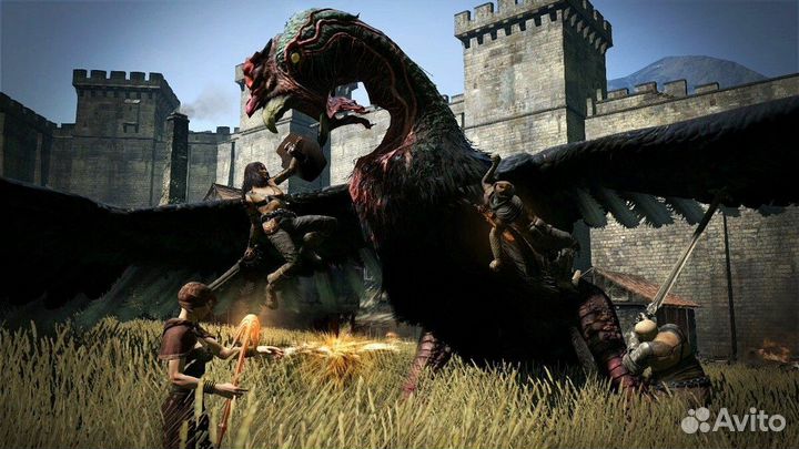 Dragon’s Dogma 2 для ps5