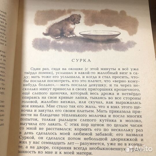 Первая весна в деревне. Аксаков. 1984 год