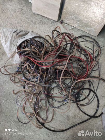 Тюльпаны для уселка