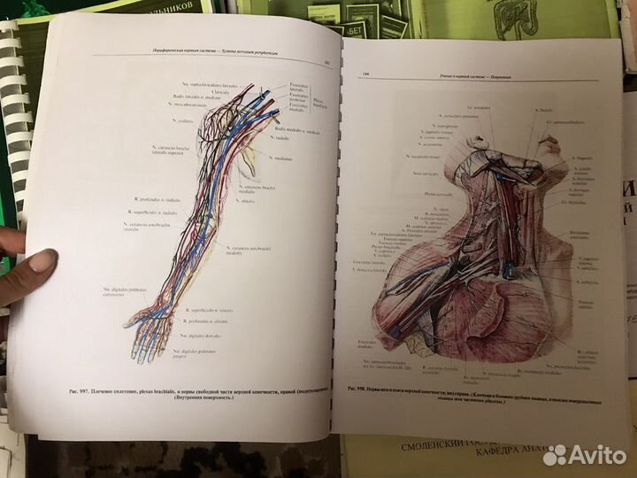 Атлас Синельникова 4 том