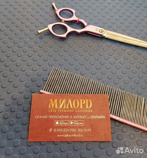 Грумер стрижка собак