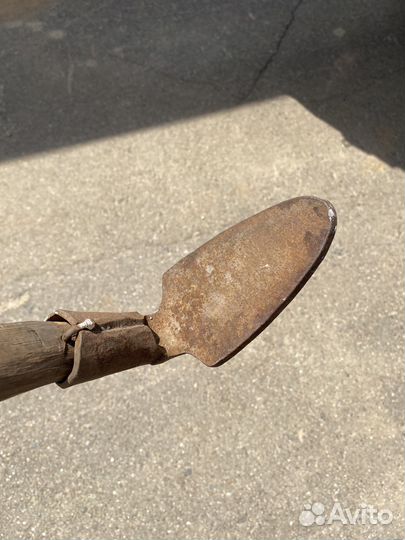 Лапа сапожная