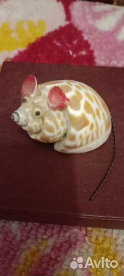 Ракушки сувенирные