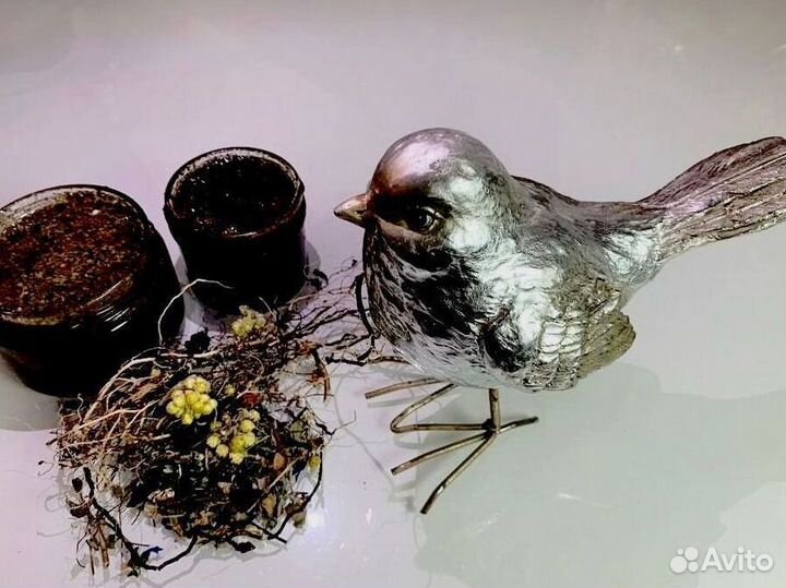 Мед для наслаждений по ночам