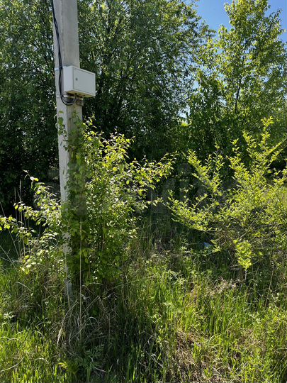 Участок 10 сот. (СНТ, ДНП)