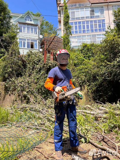Спил деревьев расчистка участков