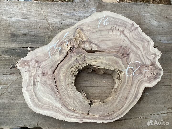 Спилы ореха, карагача, клена