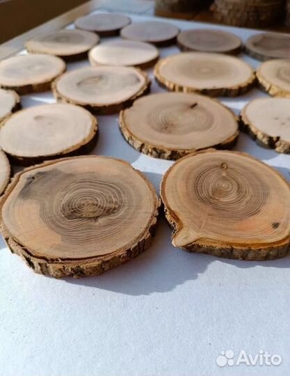 Спилы и срезы деревьев для декора и творчества