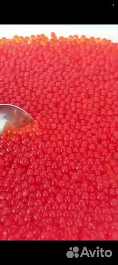 Красная икра