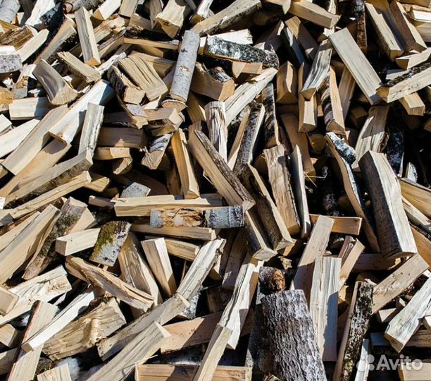 Дрова береза